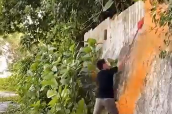 What’s That?! Wait—NO WAY! The ‘Fierce-Eyed Beast’ Is REAL… It’s a TIGER! 😱🐅