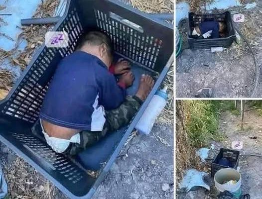 This approximately 2-year-old boy was found… See more