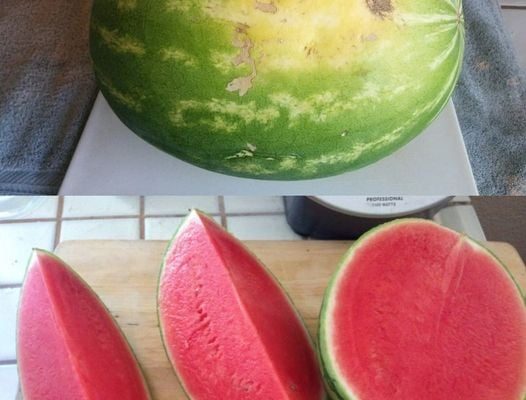 The Smart Shopper’s Guide to Picking the Best Produce