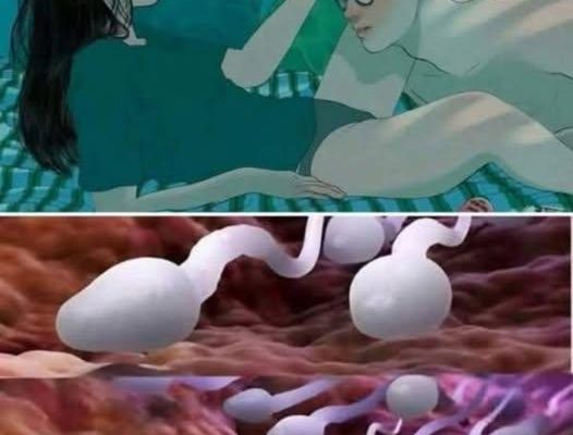 Studies reveal that swallowing your partner’s semen…