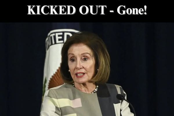 Pelosi Makes Up Fake Sections of Constitution, Dems Nod In Agreement