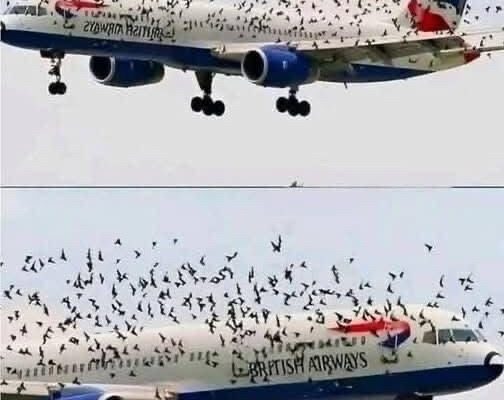 Pilot Reacted Emotionally When He Realized