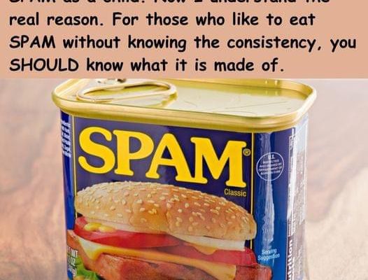 “What SPAM Really Is”