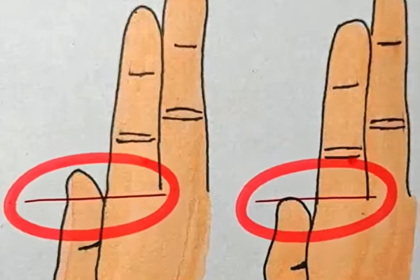 Your Fingers Could Reveal Whether You’re Rich or Poor