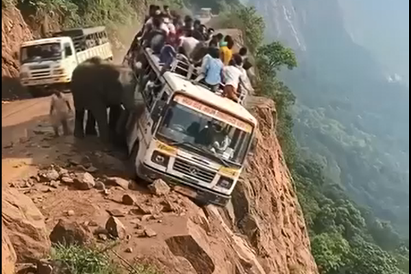 An unexpected elephant appeared near the bus — and what happened 15 seconds later, no one saw coming…