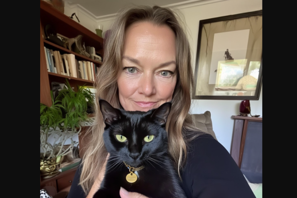 I Found a Cat with an ID Tag, Turned Down $100,000, and Found Something Priceless
