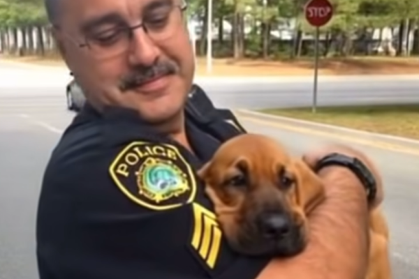 He Showed Up To Arrest My Neighbor—but Then He Picked Up The Puppy