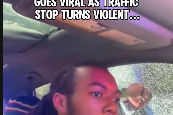 🚨 VIRAL TRAFFIC STOP TURNS VIOLENT 🚨
