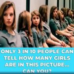 How Many Girls Are In This Picture