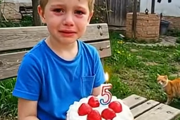 Left For Adoption, My Little Neighbor Never Expected This Birthday Surprise—And I Never Expected His Reaction