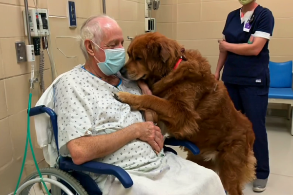 The Patient’s Plea for “Murphy”—A Name That Puzzled Everyone