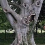 ST7. 30 Weird images you could only find on the internet s3